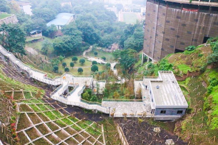 重庆"魔鬼小区"走红,占地2.3万平方米梯长1689米,你敢试吗?