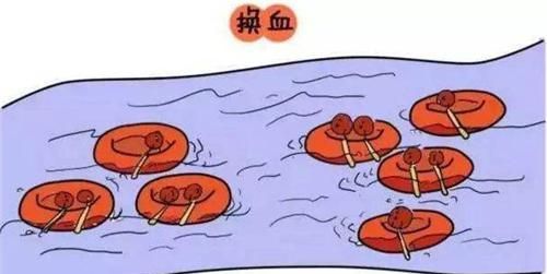 短暂!什么是新生儿溶血症"关注我们"-第1张图片-蒲城博客