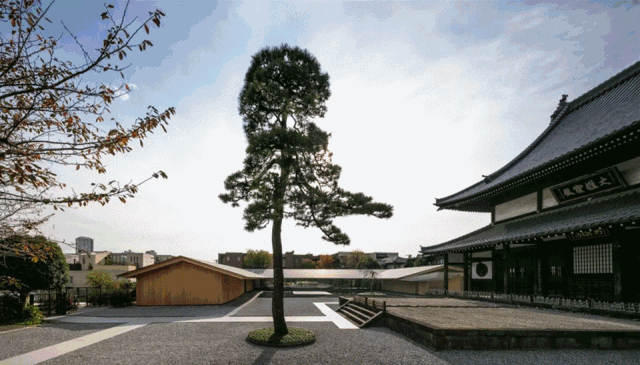 座最美枯山水庭院 京都 龙安寺 新浪新闻 座最美枯山水庭院 京都 龙安寺 新浪新闻