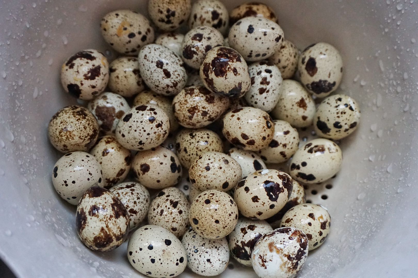 鹧鸪蛋用这锅慢火熬煮,做了一锅,全家人都不够分,都说太好吃了|鹧鸪蛋