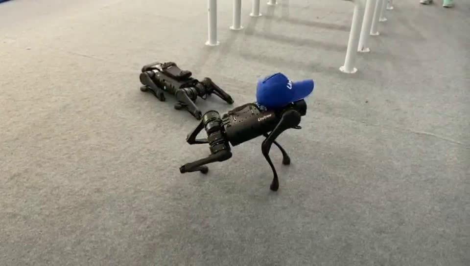 服贸会寻宝记:机器人可以做手术?