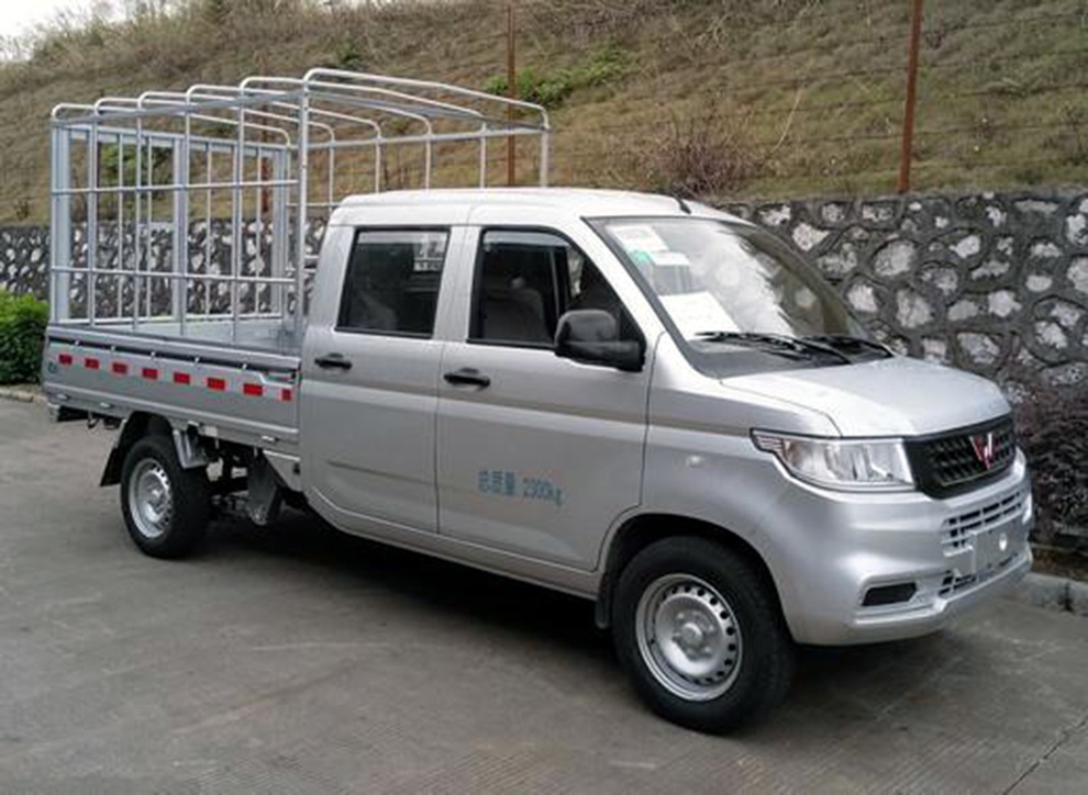 五菱打造首款皮卡,五菱征途实车,配2米3开门大货箱