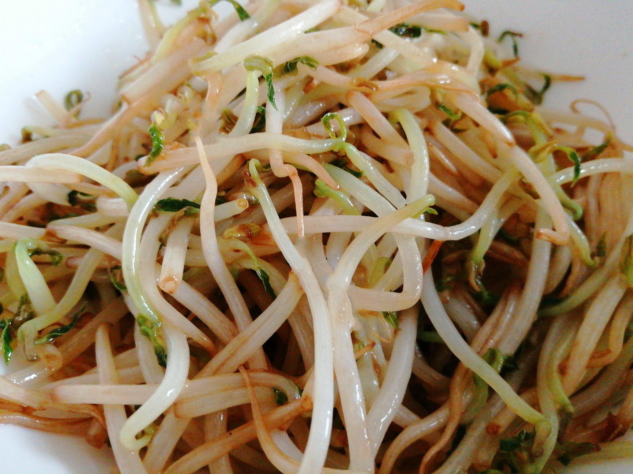 豆芽菜怎么吃?加一味香辛料,麻香四溢,爽脆可口,家人都说好