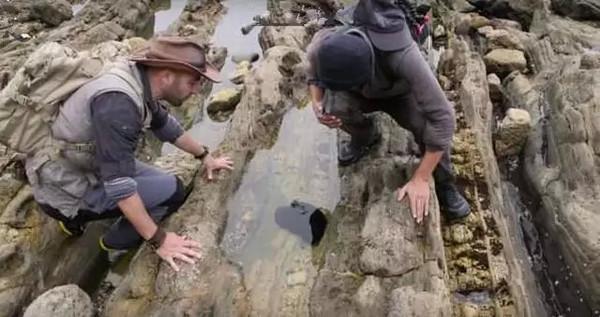 仔细一看直接被恶心到了,后来两个人在网上发帖并且搜索了一下,才知道