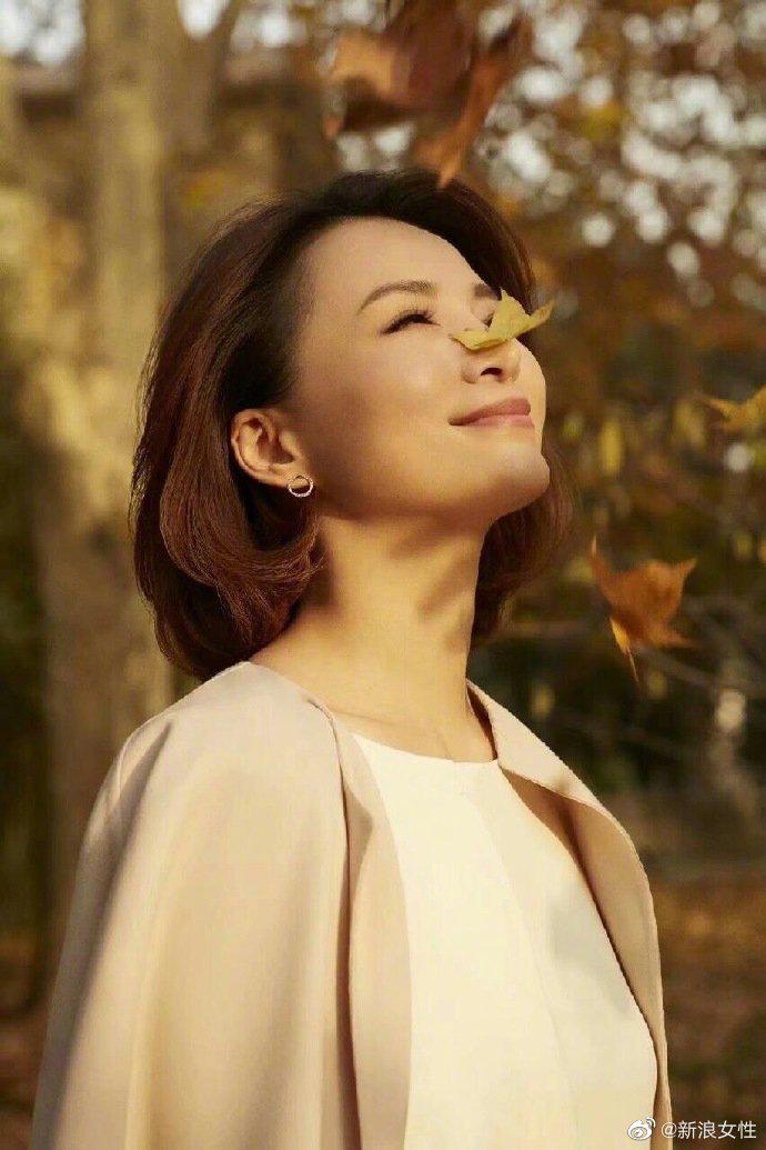 董卿端庄得体大气知性