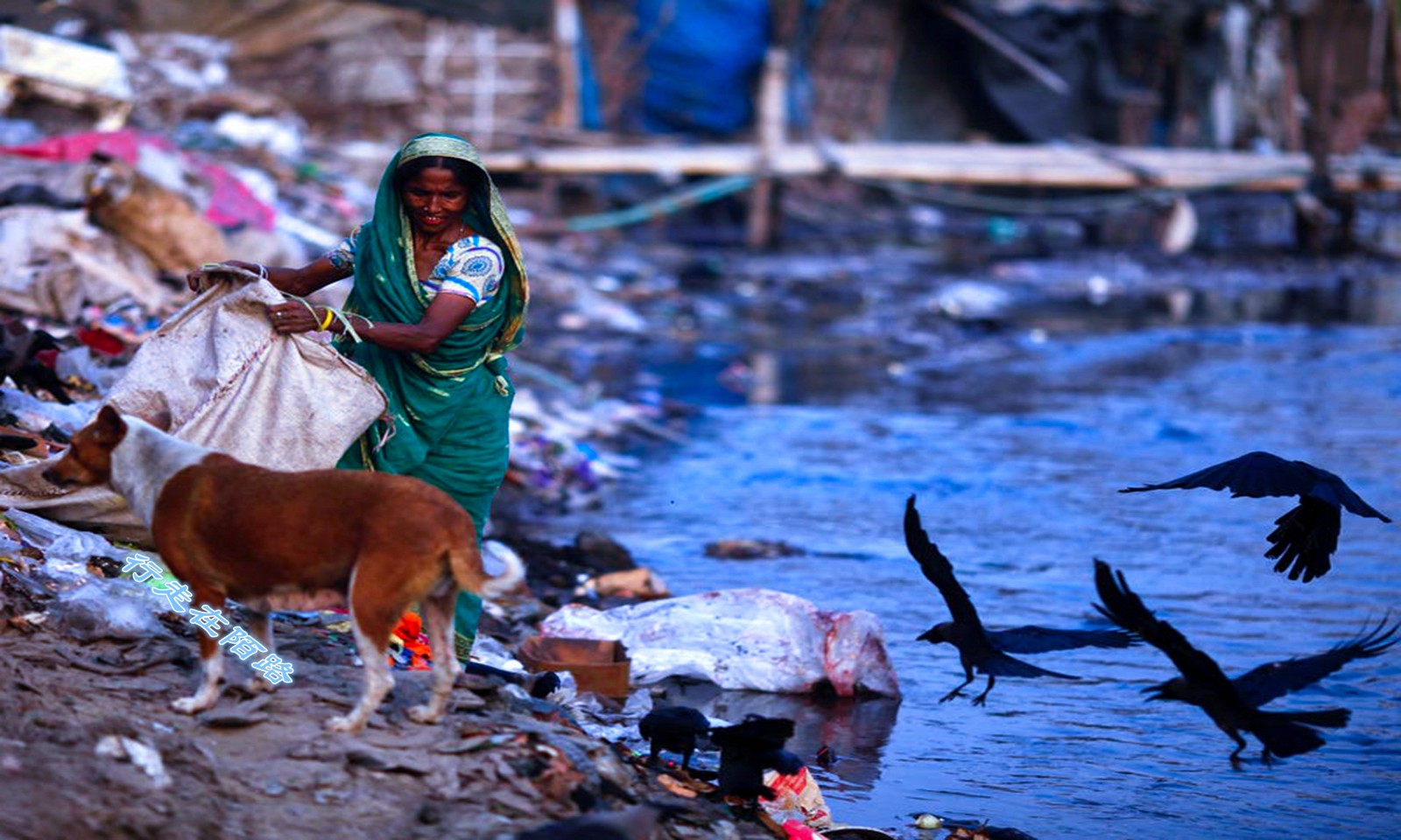 真实孟加拉2000万人面临水污染首都被评为最不宜居城市