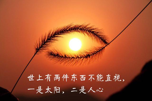 "世上有两件东西不能直视,一是太阳,二是人心