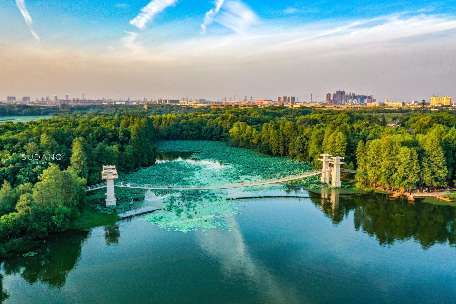 深圳东湖网站优化技巧 网站SEO运营该怎么玩