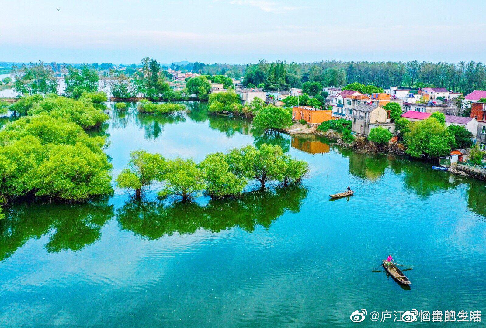 合肥庐江白湖湿地碧水蓝天和村庄绿树相映成画