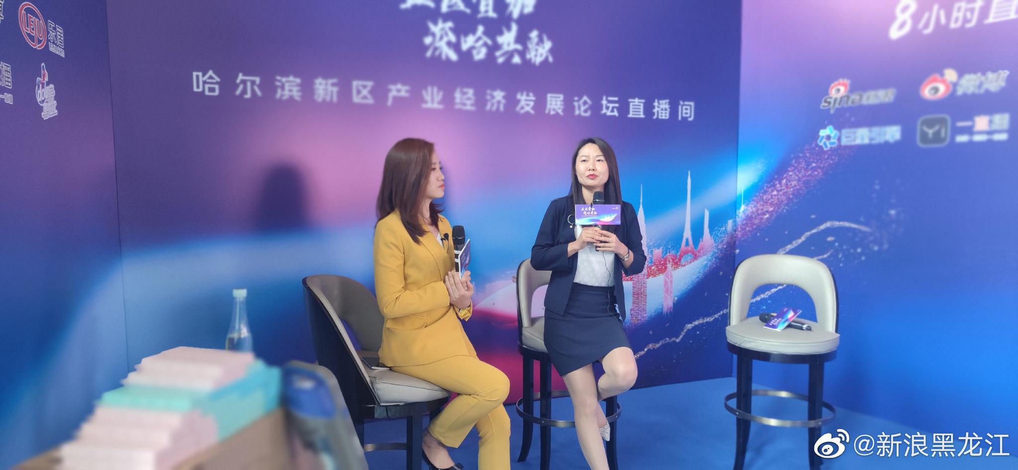 哈尔滨新区产业论坛汇宏金融港营销总监孙琪做客新浪直播间