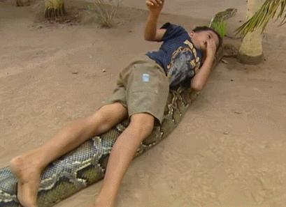 蟒蛇|小男孩|巨蟒_新浪新闻