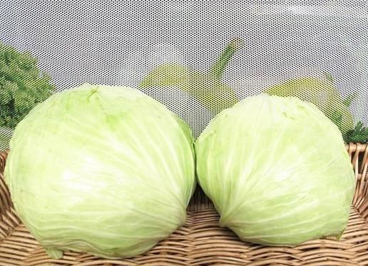 扁包菜和圆包菜有什么区别?