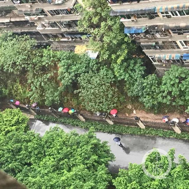 现实版愚公移山记：金茂珑悦小区居民自发挖出“上学小道”休闲区蓝鸢梦想 - Www.slyday.coM