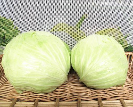 扁包菜和圆包菜有什么区别其实口感差远了以后别再傻傻的乱买