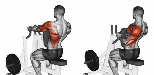 三角肌后束怎么练,这几个动作很不错,一定不要错过