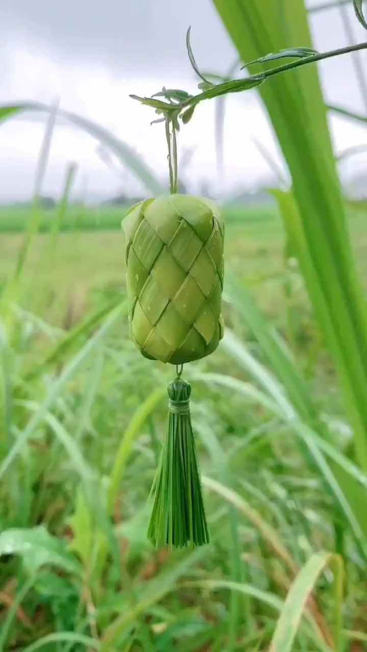 棕榈叶迷你灯笼教程来啦,超简单一看就会哦!