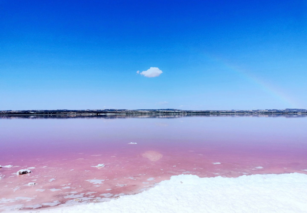 提到湖你会想到什么颜色绿色蓝色你见过粉红色的湖吗