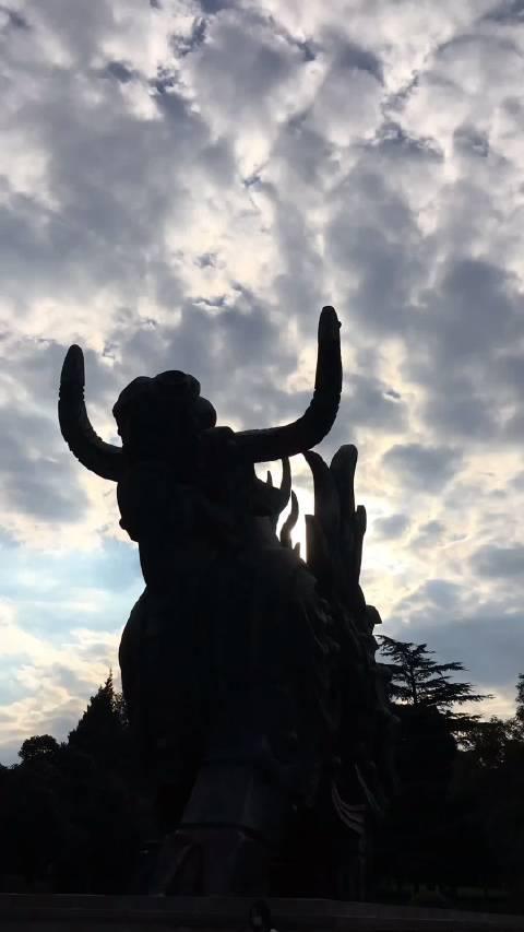 牛眼观看:济南动物园大铜牛前看风起云涌