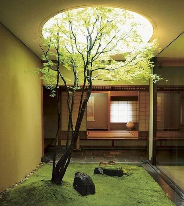 要是家里有个天井,一定要设计成日式圆形,种上一棵树,太美了!