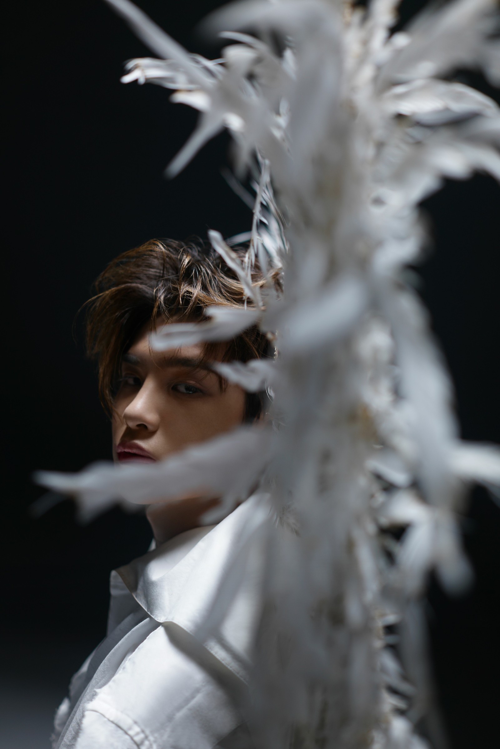 黄明昊《angel love》mv治愈上线 装上翅膀就拥有了飞翔的力量