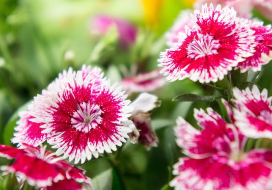 9月中旬,4属相贵人运转旺,事业顺风顺水,生活多姿多彩