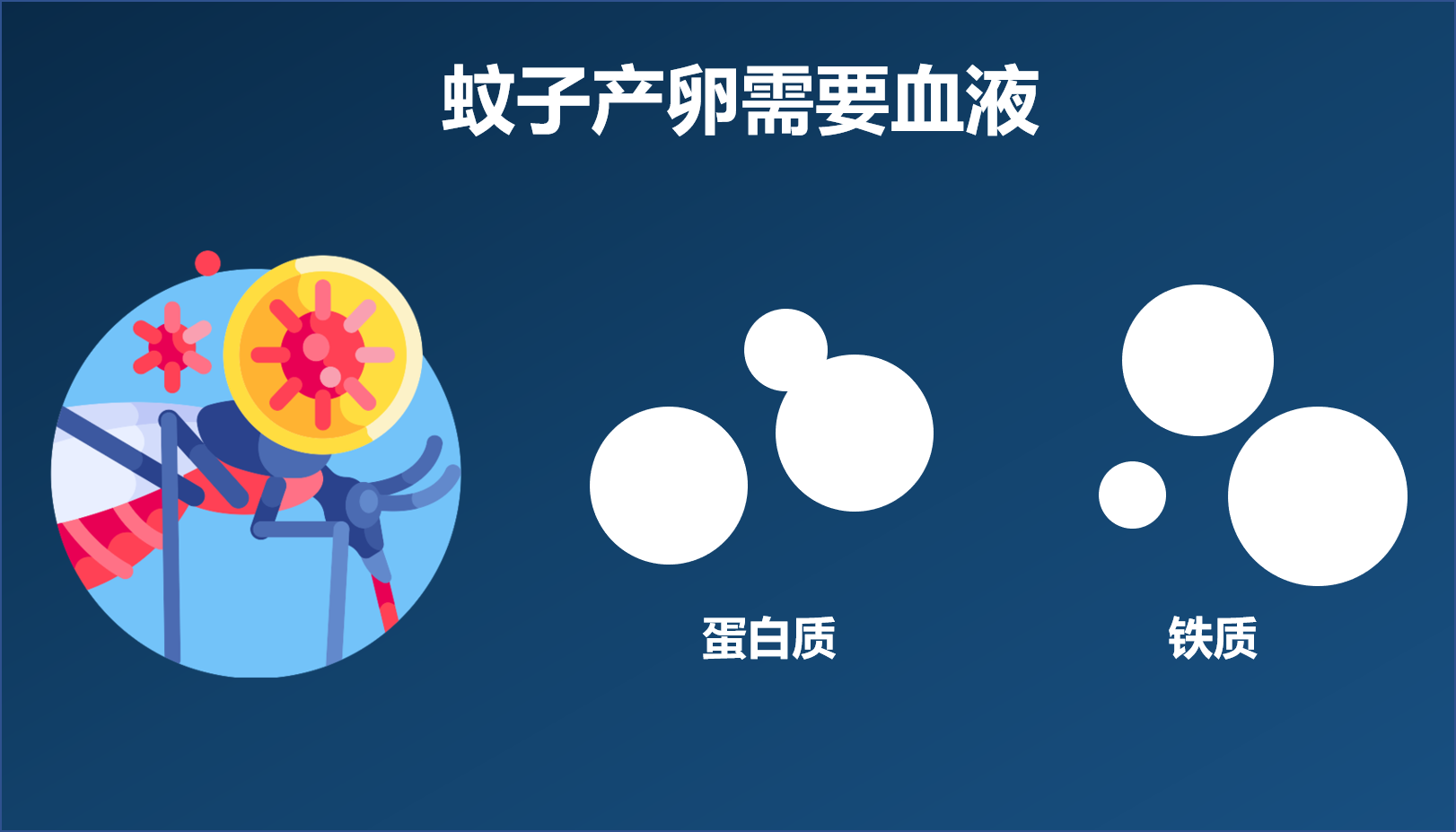 交配后才吸血蚊子如何在短暂的一生中让我们对其深恶痛绝