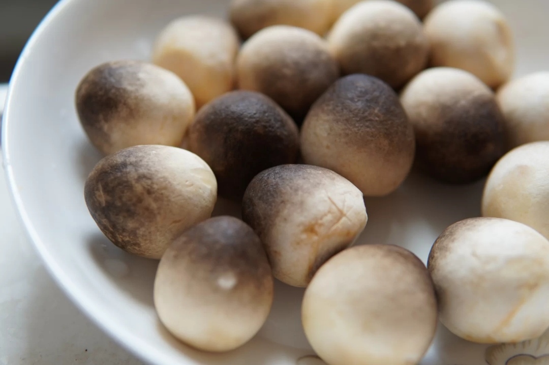 在摊位上看到那小巧玲珑又萌嘟嘟,还泛着淡淡水墨韵色的草菇时,真真是