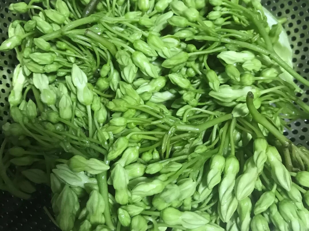 香甜的夜香花,加俩仨个鸡蛋,或者简单做个凉拌,也