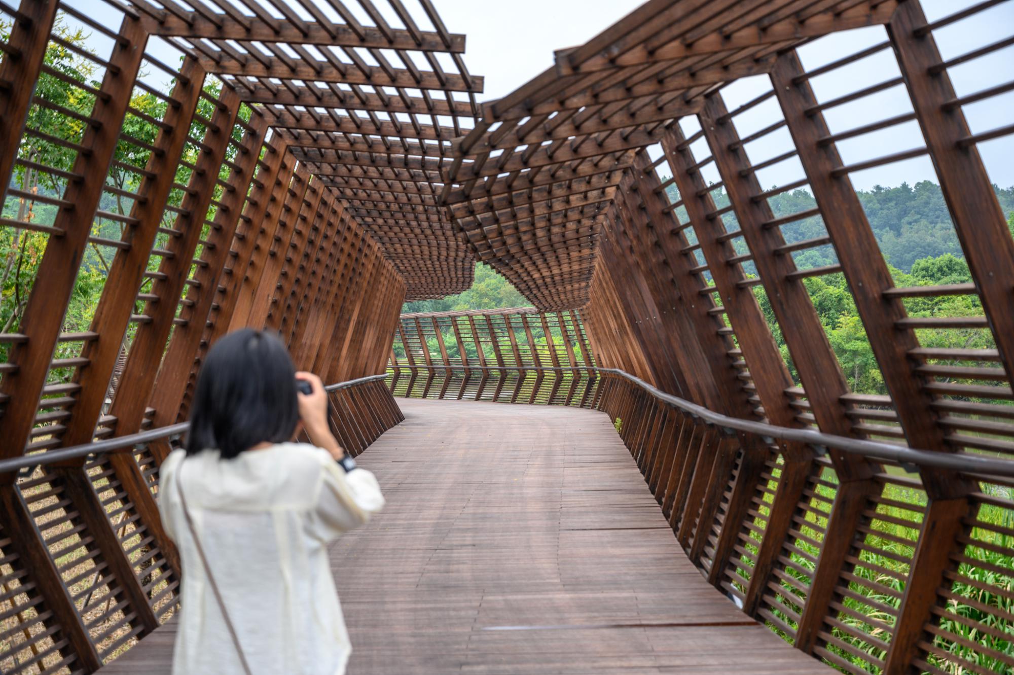 德清又添网红景点,恍若走进了"时空隧道",就在下渚湖湿地公园