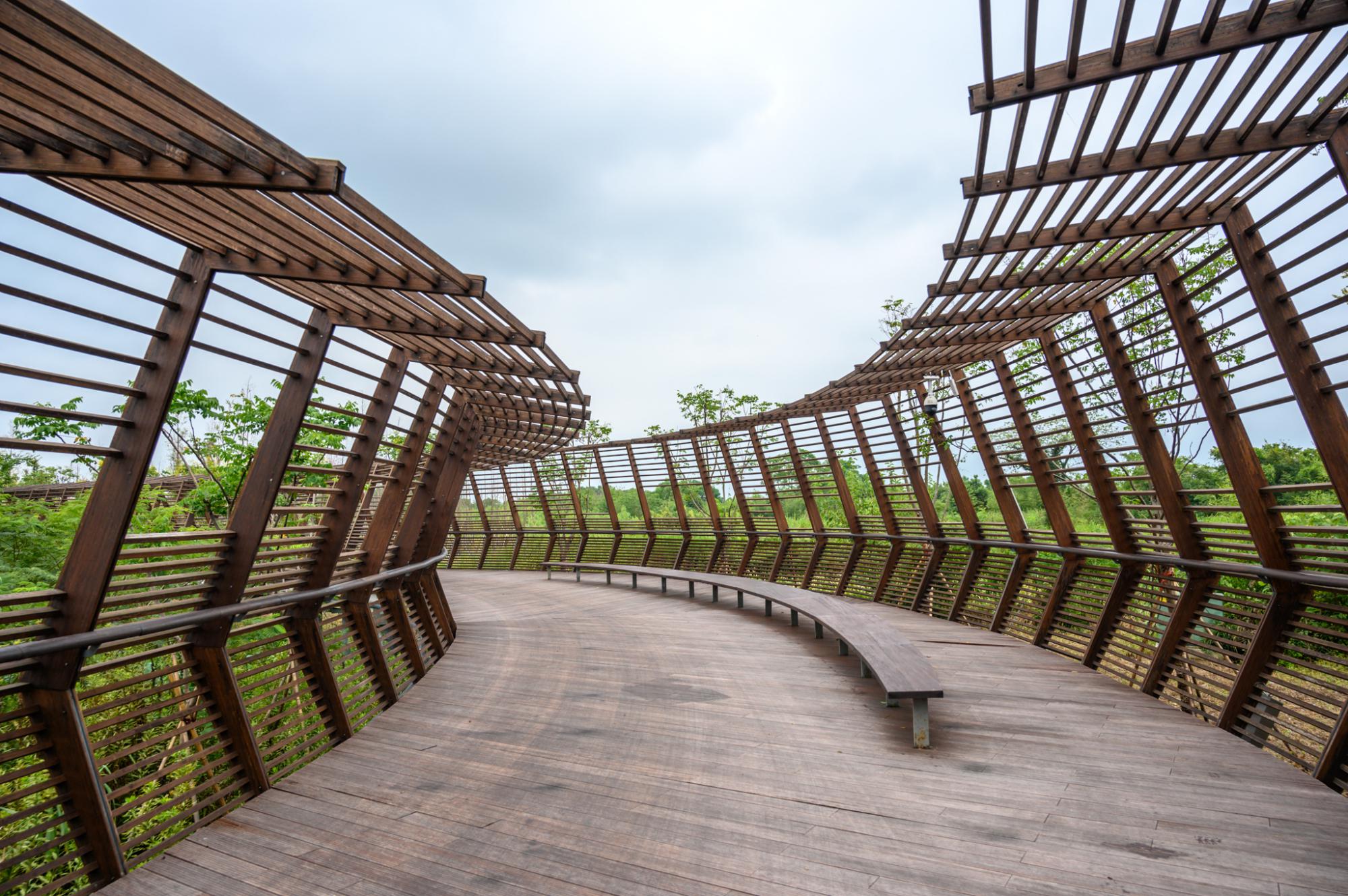 德清又添网红景点,恍若走进了"时空隧道",就在下渚湖湿地公园