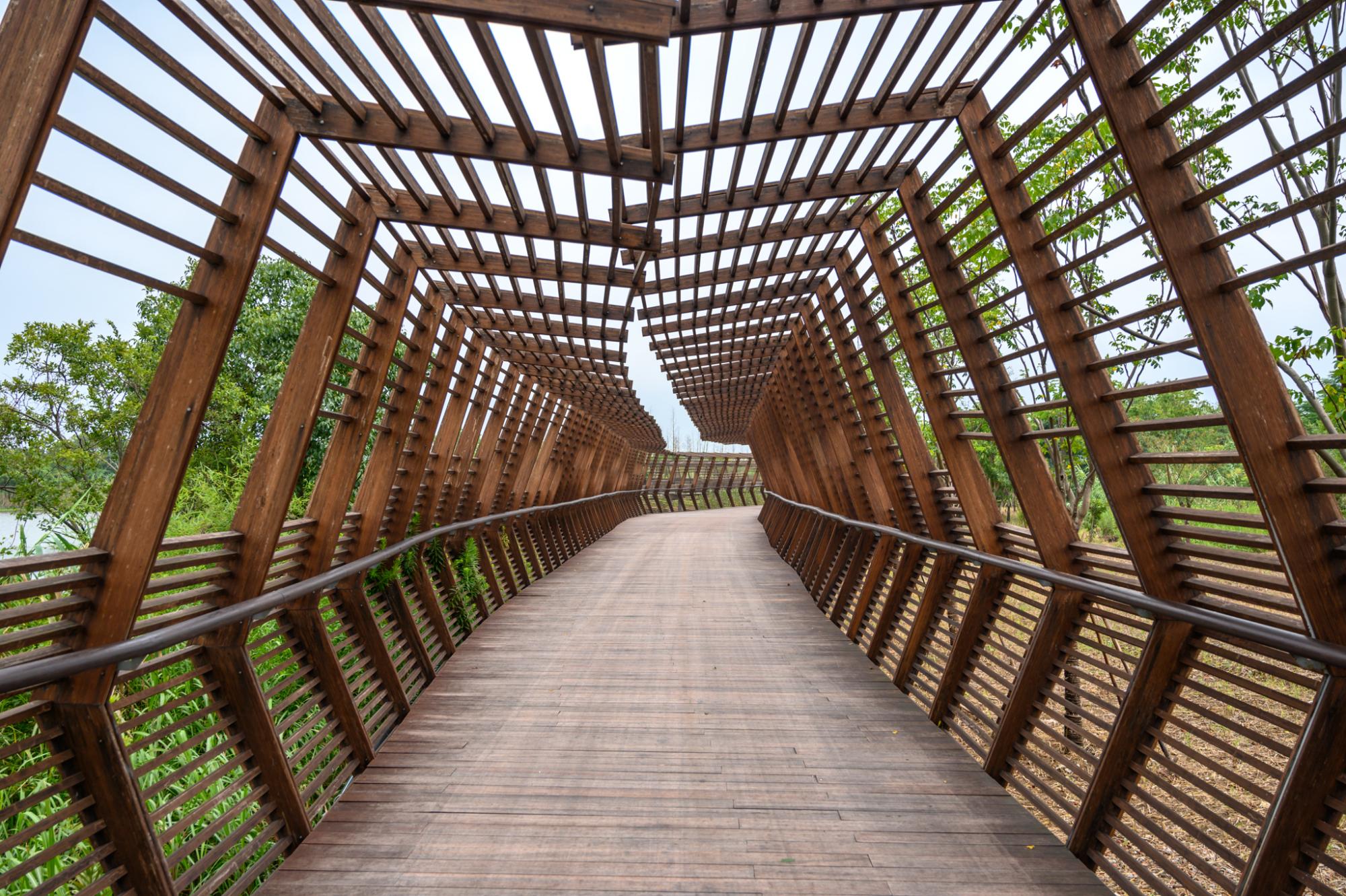 本以为环湖步道只是一条简单的沿湖木栈道,没想到它是一条"凌空"于