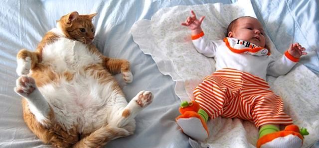 猫咪主动照顾刚出生的小主人,几个月后,小主人逐渐“猫化”休闲区蓝鸢梦想 - Www.slyday.coM 猫咪主动照顾刚出生的小主人,几个月后,小主人逐渐“猫化”休闲区蓝鸢梦想 - Www.slyday.coM