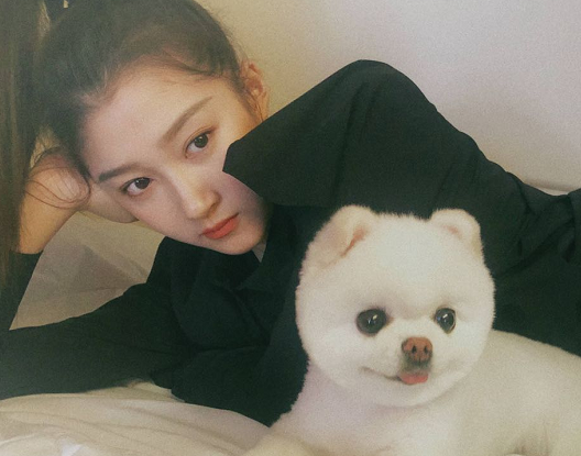 明星养宠物刘些宁乌龟宋茜养猪看到程潇胆子大