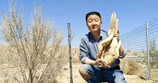 6年了，放弃百万年薪，回农村种地的北大博士现在如何，后悔了吗休闲区蓝鸢梦想 - Www.slyday.coM