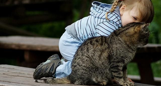 猫咪主动照顾刚出生的小主人,几个月后,小主人逐渐“猫化”休闲区蓝鸢梦想 - Www.slyday.coM 猫咪主动照顾刚出生的小主人,几个月后,小主人逐渐“猫化”休闲区蓝鸢梦想 - Www.slyday.coM