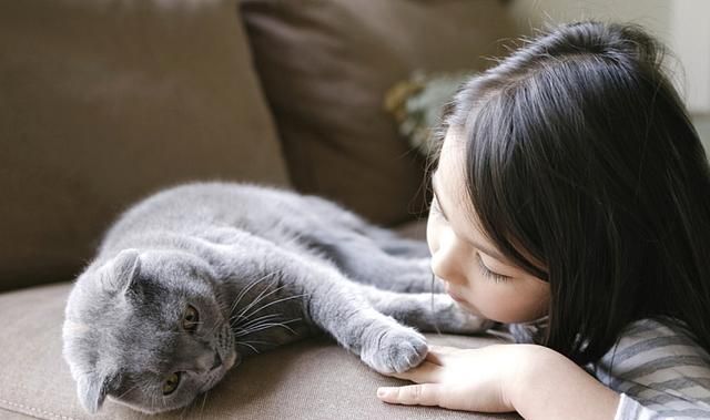 猫咪主动照顾刚出生的小主人,几个月后,小主人逐渐“猫化”休闲区蓝鸢梦想 - Www.slyday.coM 猫咪主动照顾刚出生的小主人,几个月后,小主人逐渐“猫化”休闲区蓝鸢梦想 - Www.slyday.coM