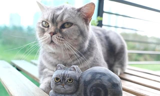 猫咪主动照顾刚出生的小主人,几个月后,小主人逐渐“猫化”休闲区蓝鸢梦想 - Www.slyday.coM 猫咪主动照顾刚出生的小主人,几个月后,小主人逐渐“猫化”休闲区蓝鸢梦想 - Www.slyday.coM