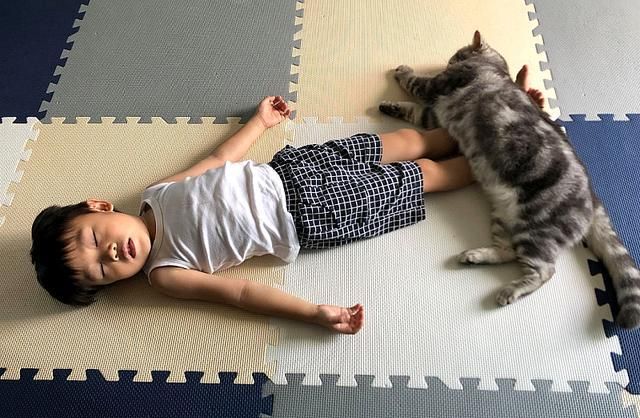 猫咪主动照顾刚出生的小主人,几个月后,小主人逐渐“猫化”休闲区蓝鸢梦想 - Www.slyday.coM 猫咪主动照顾刚出生的小主人,几个月后,小主人逐渐“猫化”休闲区蓝鸢梦想 - Www.slyday.coM