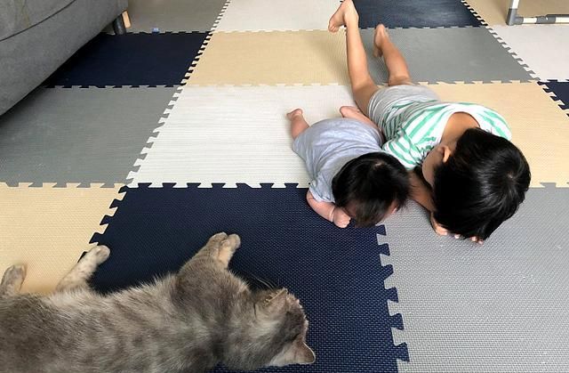 猫咪主动照顾刚出生的小主人,几个月后,小主人逐渐“猫化”休闲区蓝鸢梦想 - Www.slyday.coM 猫咪主动照顾刚出生的小主人,几个月后,小主人逐渐“猫化”休闲区蓝鸢梦想 - Www.slyday.coM