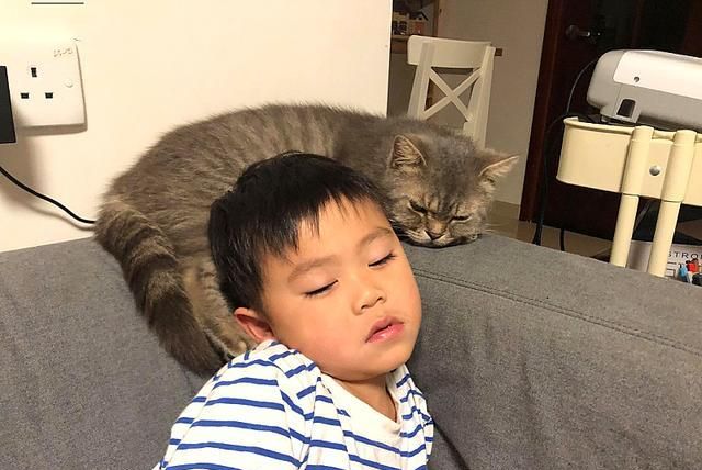 猫咪主动照顾刚出生的小主人,几个月后,小主人逐渐“猫化”休闲区蓝鸢梦想 - Www.slyday.coM 猫咪主动照顾刚出生的小主人,几个月后,小主人逐渐“猫化”休闲区蓝鸢梦想 - Www.slyday.coM