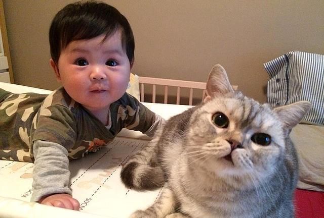 猫咪主动照顾刚出生的小主人,几个月后,小主人逐渐“猫化”休闲区蓝鸢梦想 - Www.slyday.coM 猫咪主动照顾刚出生的小主人,几个月后,小主人逐渐“猫化”休闲区蓝鸢梦想 - Www.slyday.coM