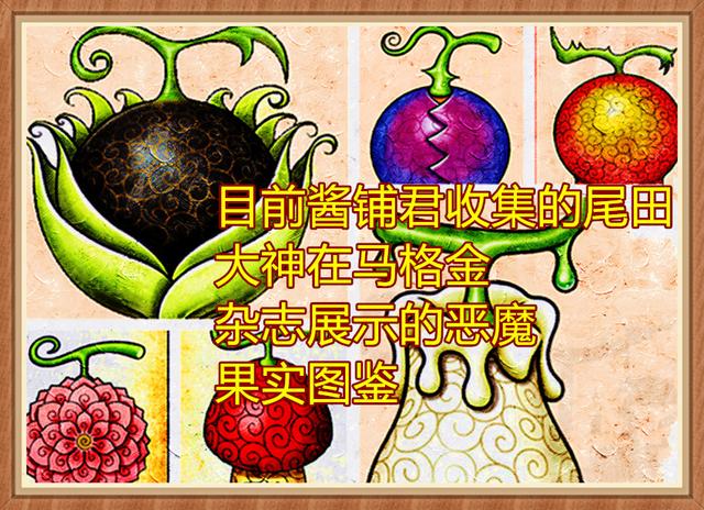 海贼王杂志情报:尾田公布新果实图鉴,出现两颗恶魔果实的新造型