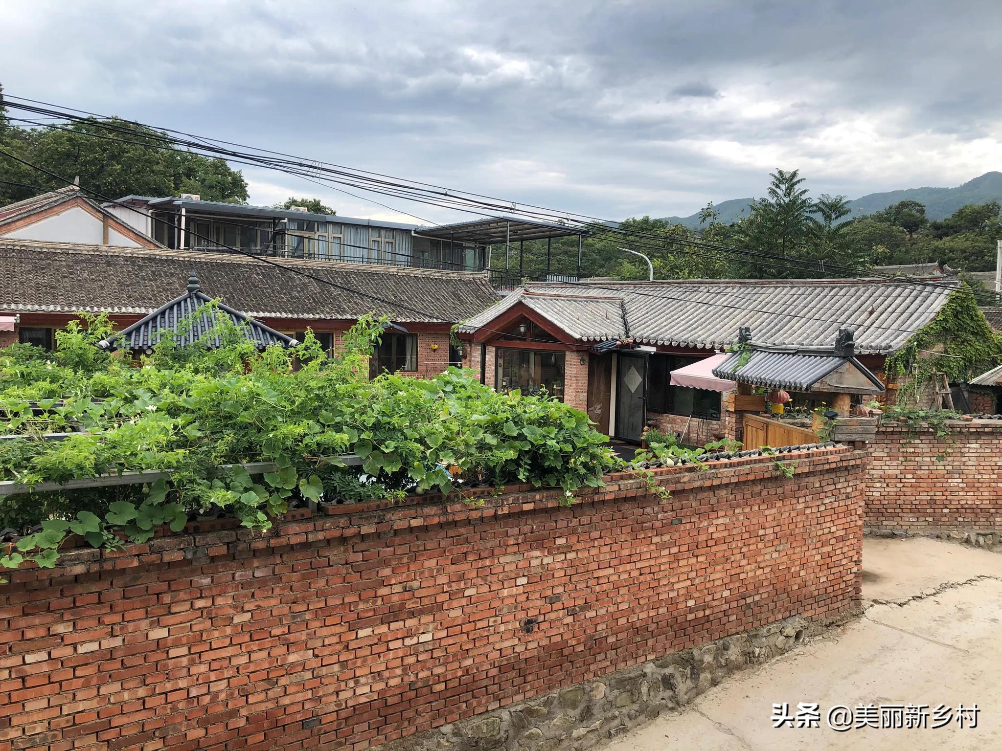 北京农民院子租给搞民宿经营的,房主自嘲:自家院子住不起了