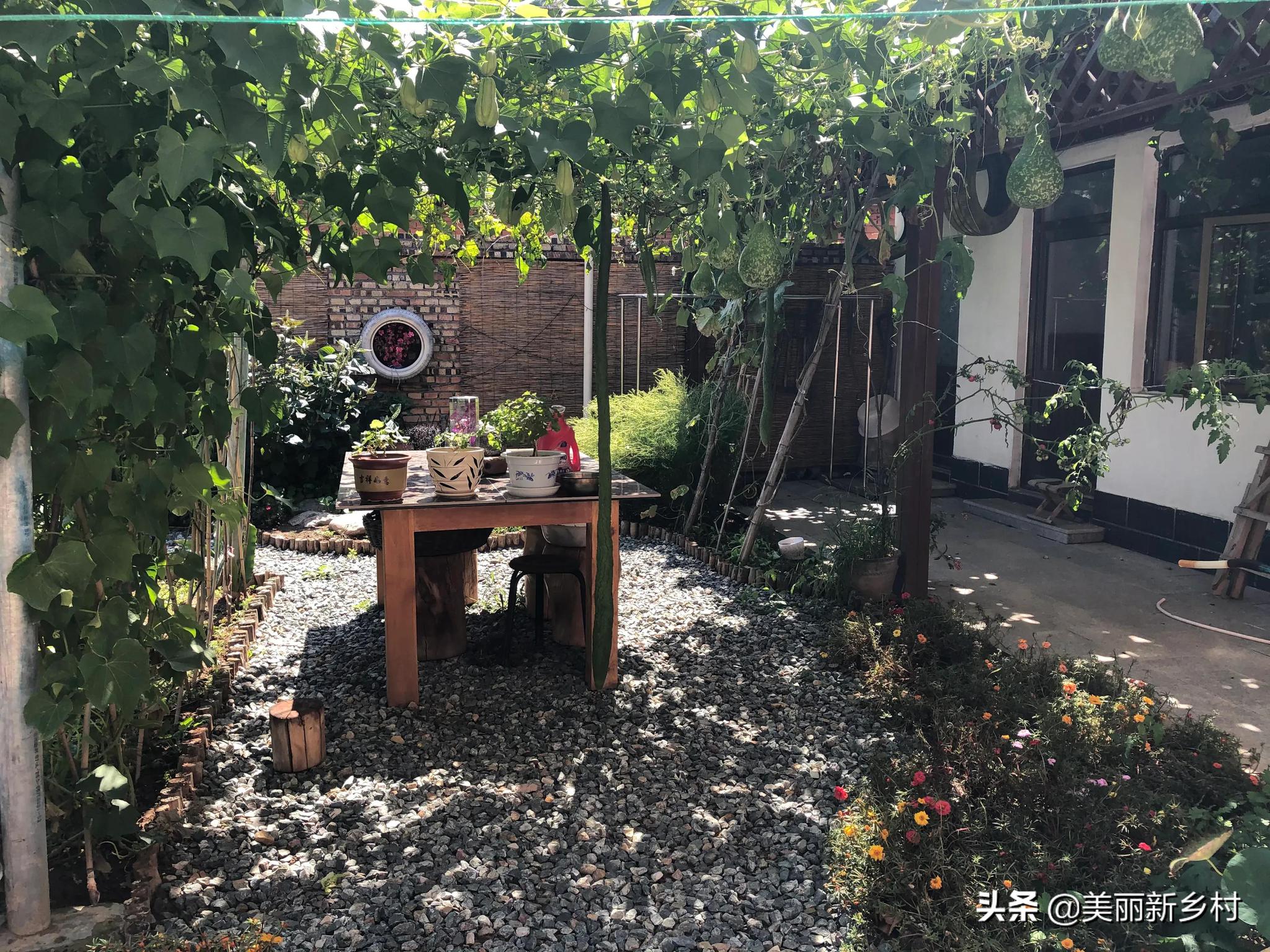 北京农民院子租给搞民宿经营的,房主自嘲:自家院子住不起了