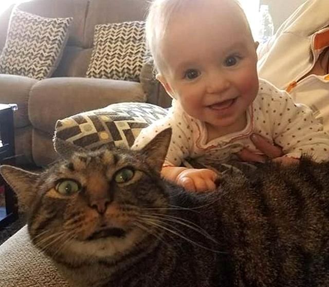 猫咪主动照顾刚出生的小主人,几个月后,小主人逐渐“猫化”休闲区蓝鸢梦想 - Www.slyday.coM 猫咪主动照顾刚出生的小主人,几个月后,小主人逐渐“猫化”休闲区蓝鸢梦想 - Www.slyday.coM