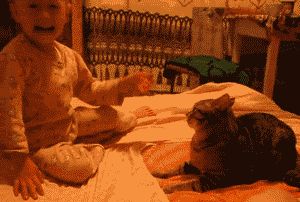 猫咪主动照顾刚出生的小主人,几个月后,小主人逐渐“猫化”休闲区蓝鸢梦想 - Www.slyday.coM 猫咪主动照顾刚出生的小主人,几个月后,小主人逐渐“猫化”休闲区蓝鸢梦想 - Www.slyday.coM