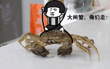 只只"青背,白肚,金毛,黄毛",肥美诱人!