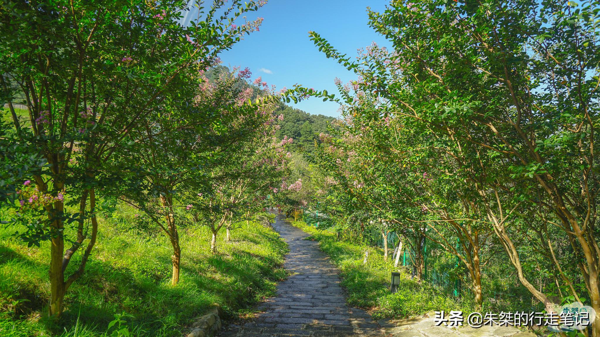 安徽霍山深藏在大别山腹地的避暑胜地年平均气温低至142