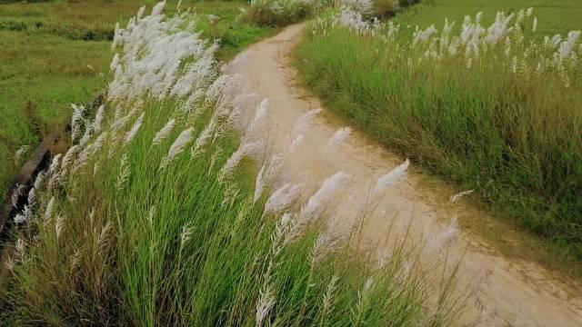 雨尘是什么意思 格局大气的女孩名字怎样取