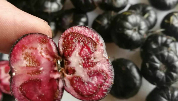 小时候以为是"蜘蛛",长大才知道这是稀罕水果,200一斤吃不起